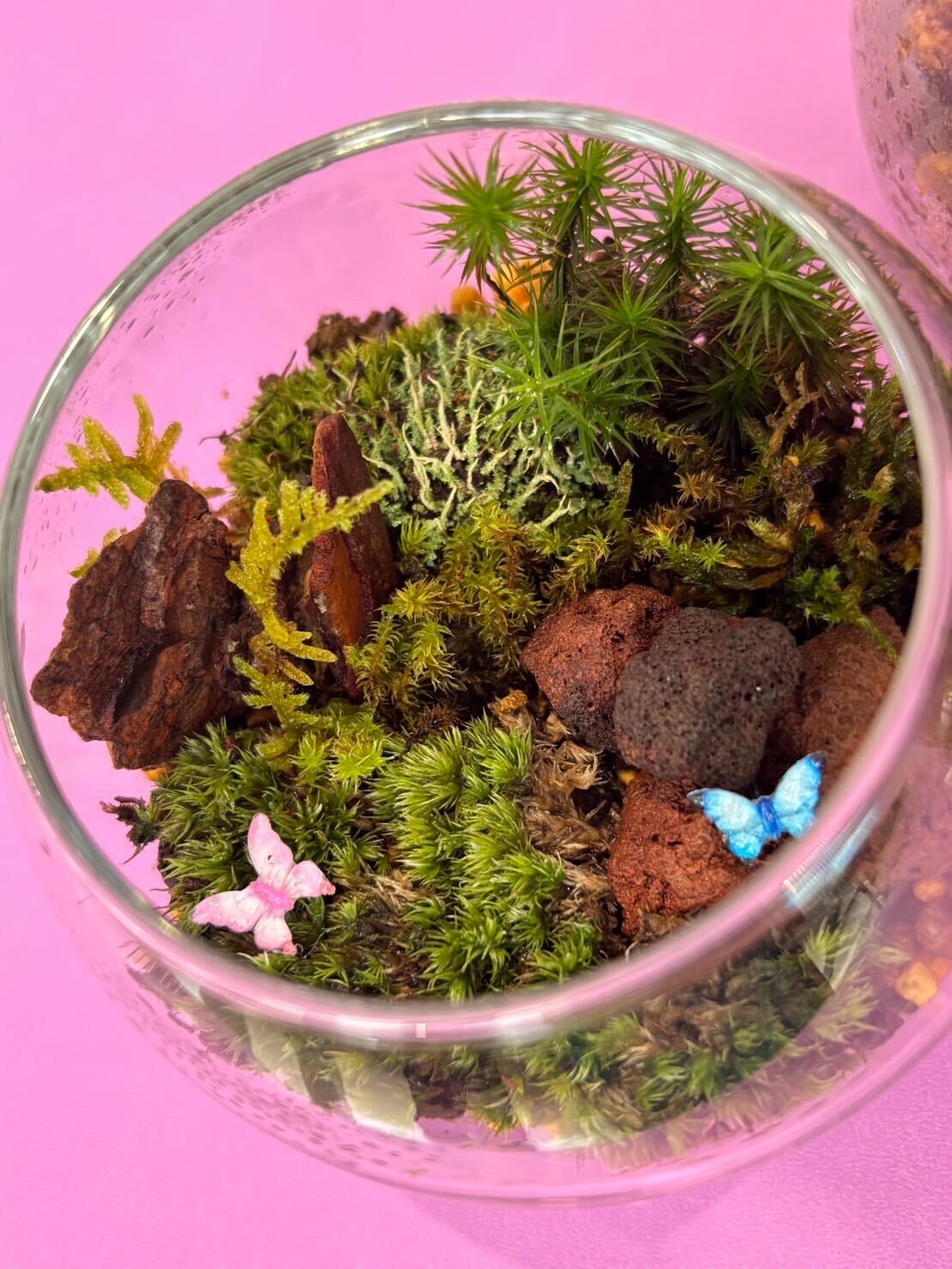 兵庫テラリウム協会 増田真人 「凛 ~ガラスと苔が静けさに息づく美の形